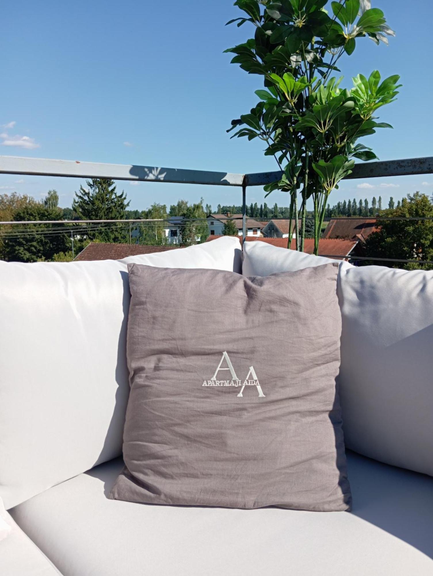 Apartmaji Aida Моравске-Топлице Экстерьер фото